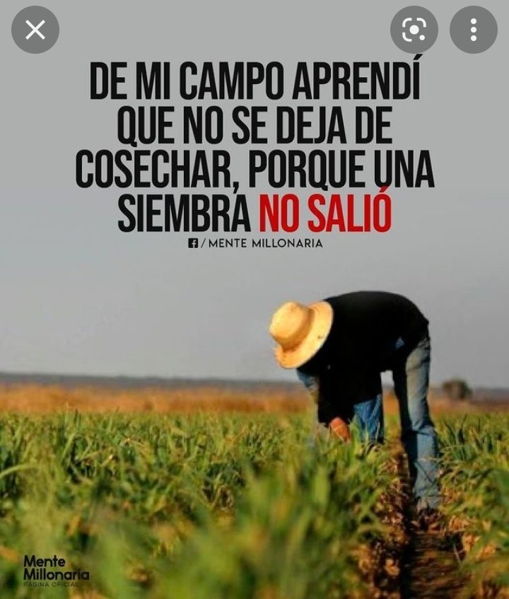 ☘️🌾HERMOSA TARDE GENTE BELLA!🍀🌾CON'PERSEVERANCIA'SE LOGRA EL #CrecimientoProductivo DE LA PATRIA GRANDE👏 QUE TODOS QUEREMOS!SIN DESISTIR!🍀CON'TENACIDAD'SE LOGRAN LAS MÁS GRANDES COSECHAS!🍀@tereduranl 🍀@ZuleimaSoy @OrianaR49826365🍀@CandyNore🍀@caro1956CCCV @BelkisSebastia