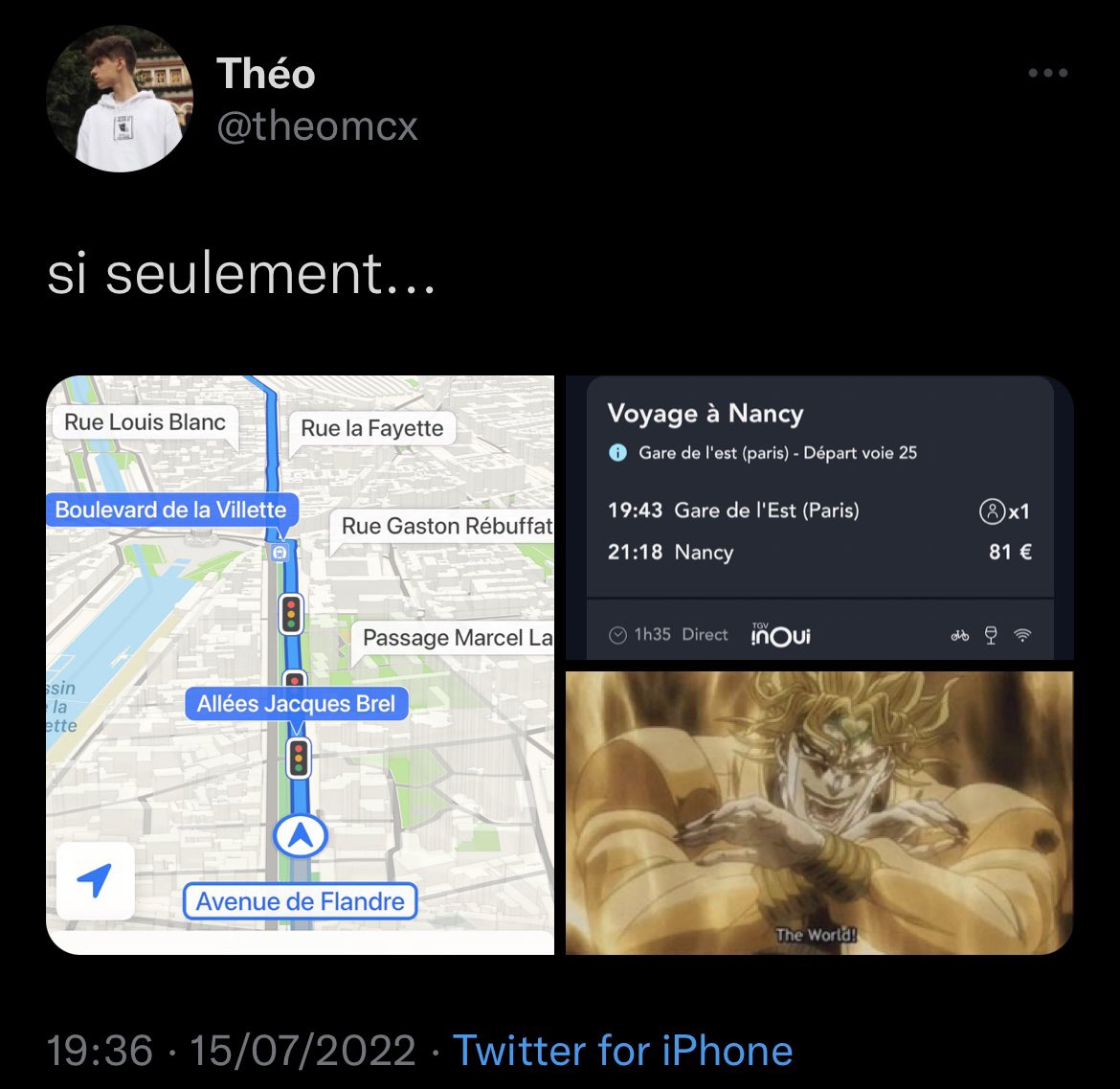 theomcx's tweet photo. J'ai des larmes de joie c'est le tweet le plus utile de ma vie, j'allais rater mon train et grâce à lui ils m'ont laissé passer alors que les portes du quai étaient fermées https://t.co/N0rjedzzrW