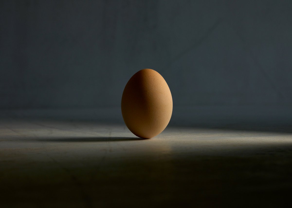 Chickens's tweet photo. It all starts with an egg.

Our first open edition collection is now live on @ourZORA. Minting for the next 72 hours.

https://t.co/1ZYLhbJ1zr https://t.co/bhitmdWrcw