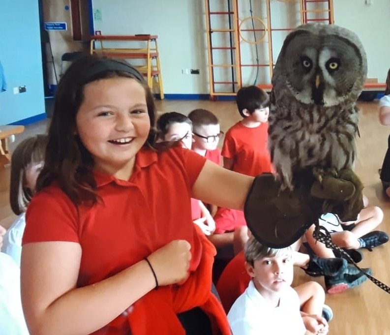 RogietPrimary's tweet photo. Brilliant to have #animalsinteractive visit again today. Such an amazing experience for our children. They learned so much, and even faced some fears! ππ¦ππ¦π·οΈβ€οΈ https://t.co/454SM4pCH1