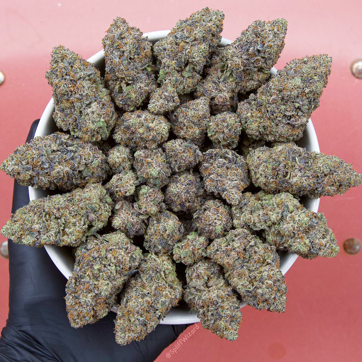 SpIiffWizard's tweet photo. Fresh batch of Space Gello! 🚀
(Space Runtz x Gello)
🌳Grow @ripcityroots
📸Photo @SpIiffWizard
#SpliffWizard #marijuana #weedlovers #Mmemberville #CannabisCommunity #SpaceGello #LoveIsland #herb https://t.co/mjpnrHWWRQ