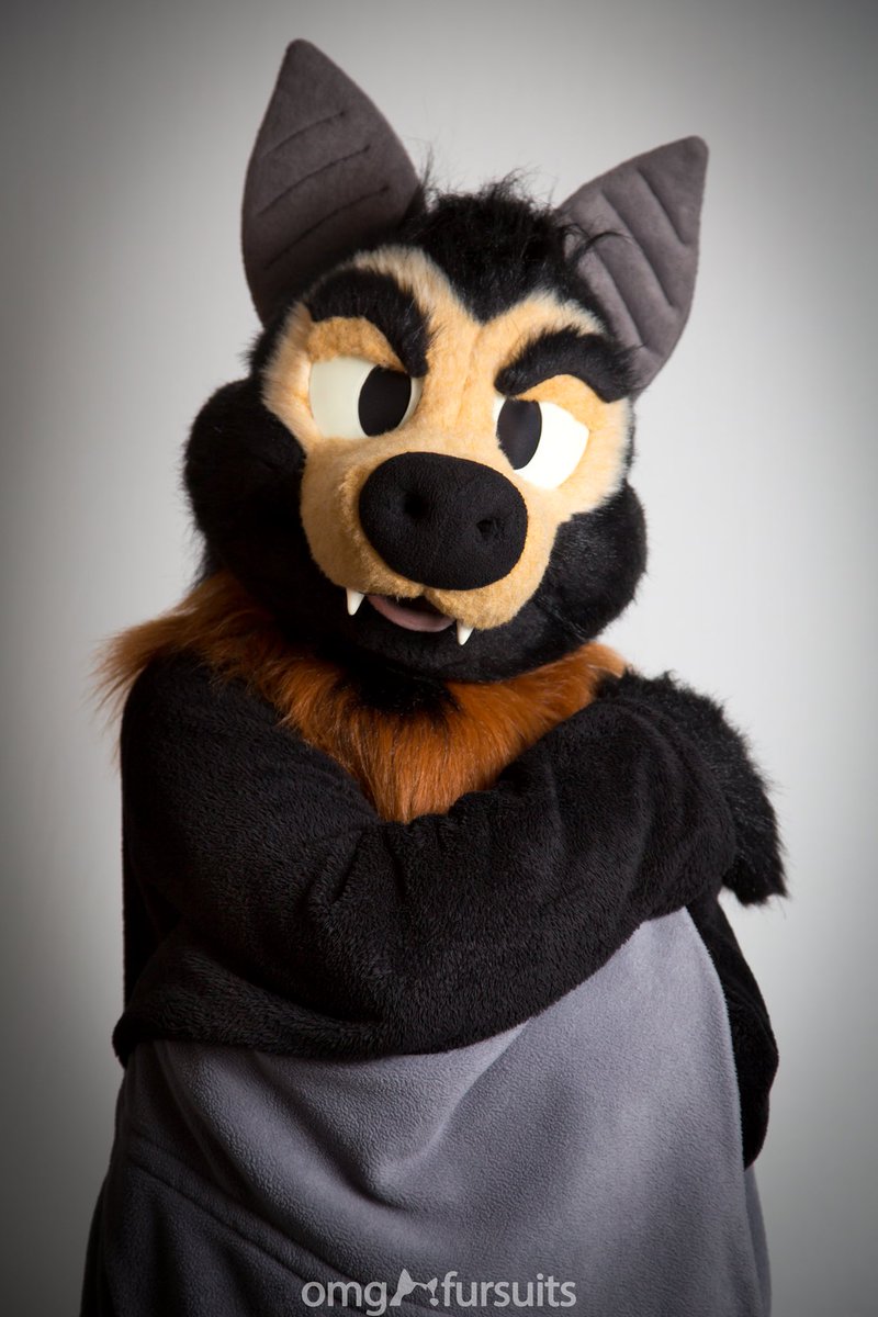 omgfursuits's tweet photo. That’s one confident echoer! 

🦇 is @BaseballTheBat https://t.co/uBgLM9dC6D