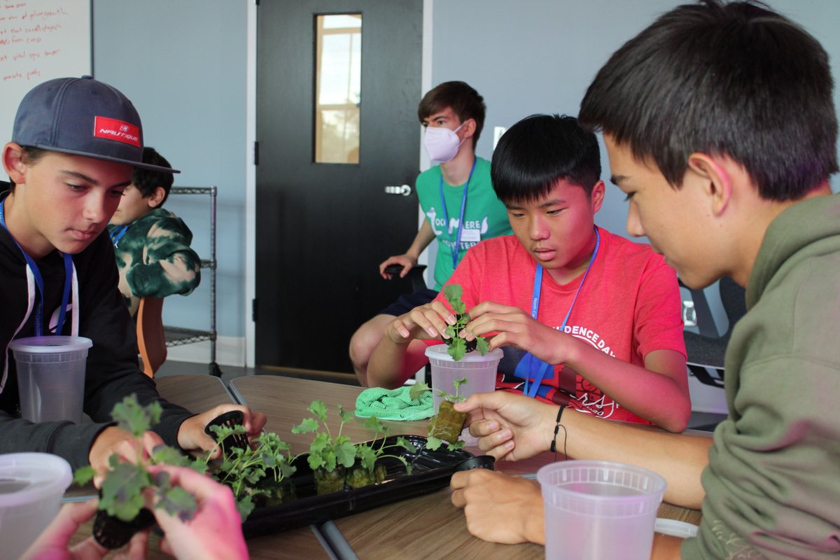 accel_ncssm's tweet photo. Morganton summer campers are experimenting with robots called Sphero Boltz, while the 
agriculture class is learning to transplant with out using soil.
#SummerAccelerator #NCSSMSummer https://t.co/djlTiXFrVz