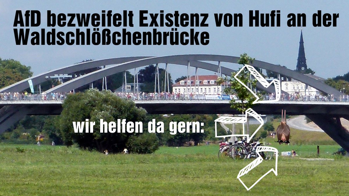 Hufi oder nicht Hufi, das ist hier die Frage... zumindest fragt sich das die  #noAfD. Sie beantragt eine erneute Untersuchung der Population der kleinen Hufeisennase an der WSB. Natürlich aus Naturschutzgründen und nicht, um das Tempolimit aufzuheben. ;)

Wir sagen: Hufi lebt!