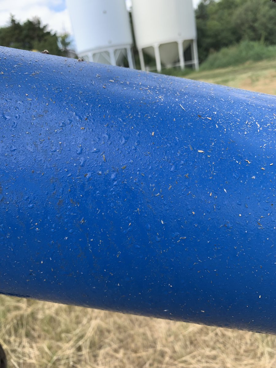 IanSprott's tweet photo. 30 degrees out and the auger is sweating!! #thatsagoodsign #whohaulsoatsinjuly https://t.co/aERwArphMr