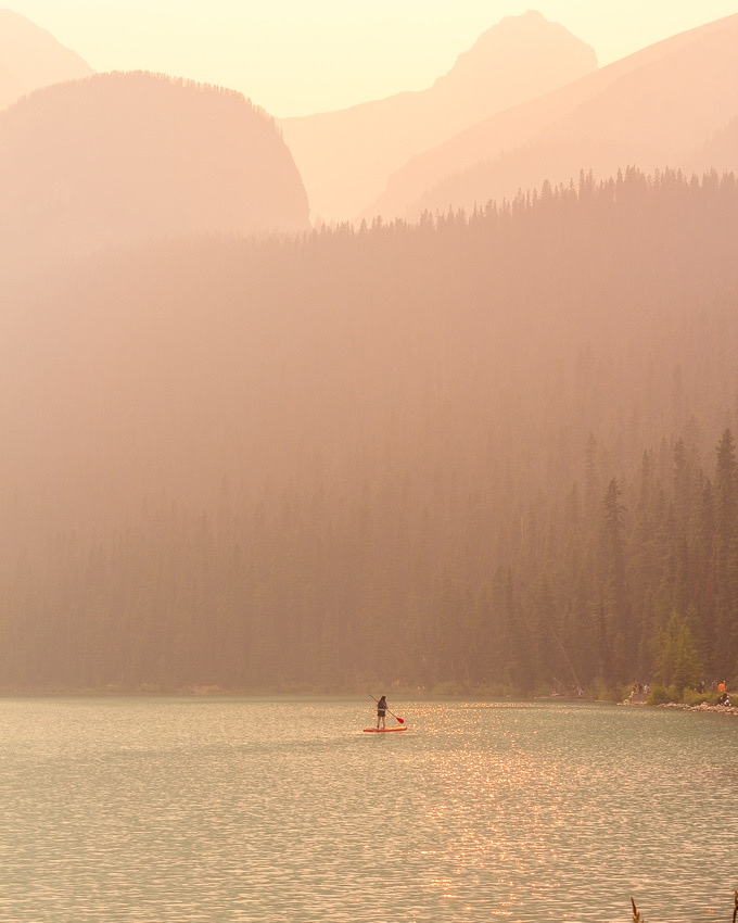 cmroachphotos's tweet photo. This week’s #FridayPhotoBlog features is the first of a two-parter around the theme of "Golden".
Take a dive into three new pictures taken by #CMRoachPhotos - including this one of a hazy summer's sunset at Lake Louise!
(Part 2 drops next Friday)
https://t.co/qrftZgLaSb https://t.co/ik82XTuVSG