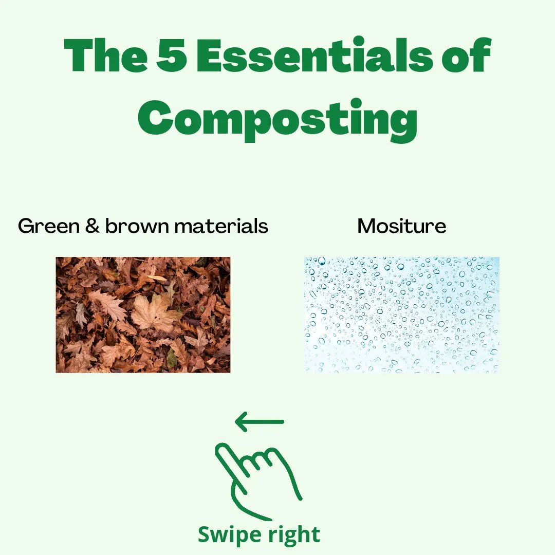 ReNuIreland's tweet photo. Keep these 5 factors in mind to make healthy compost. Stay tuned as we'll be unearthing the secrets of these essentials! https://t.co/LygGuXWrJ1