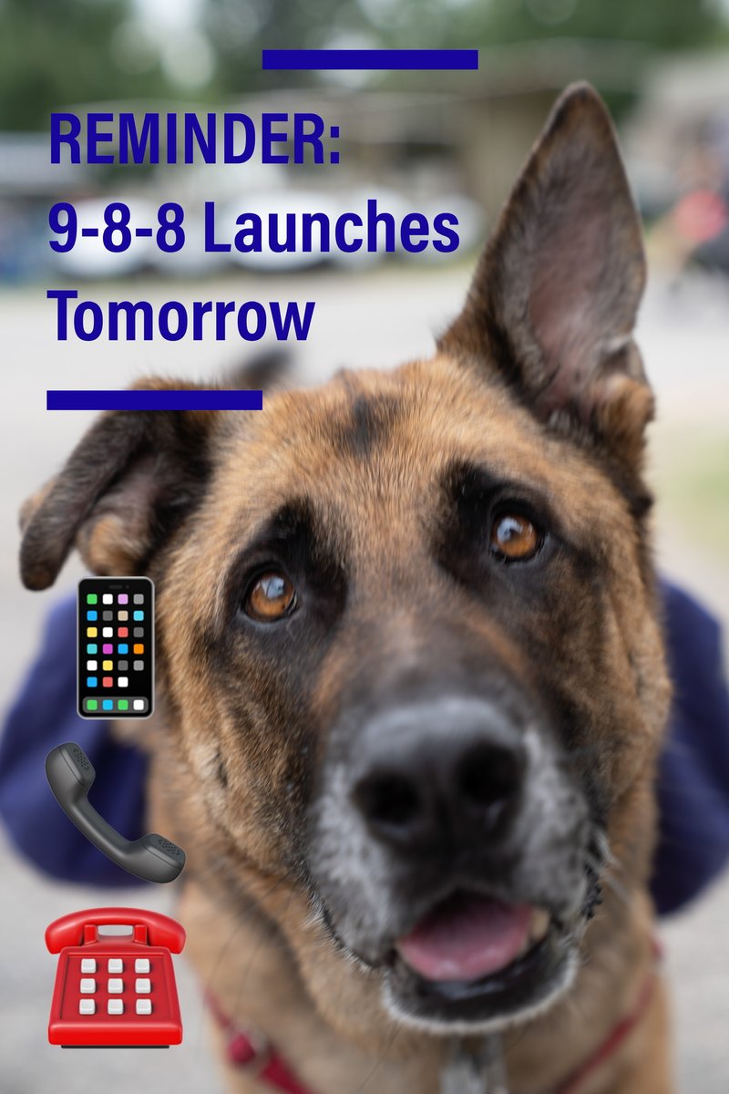 FredPrepDog's tweet photo. 988 is the National #SuicidePrevention  Line (NSPL) three-digit number to call for individuals in suicidal or emotional distress. Kansans who contact 988 will be directly connected to trained crisis counselors. @988Lifeline @KDHE @ShawneeSheriff @kshighwaypatrol https://t.co/be5DPyZNjg