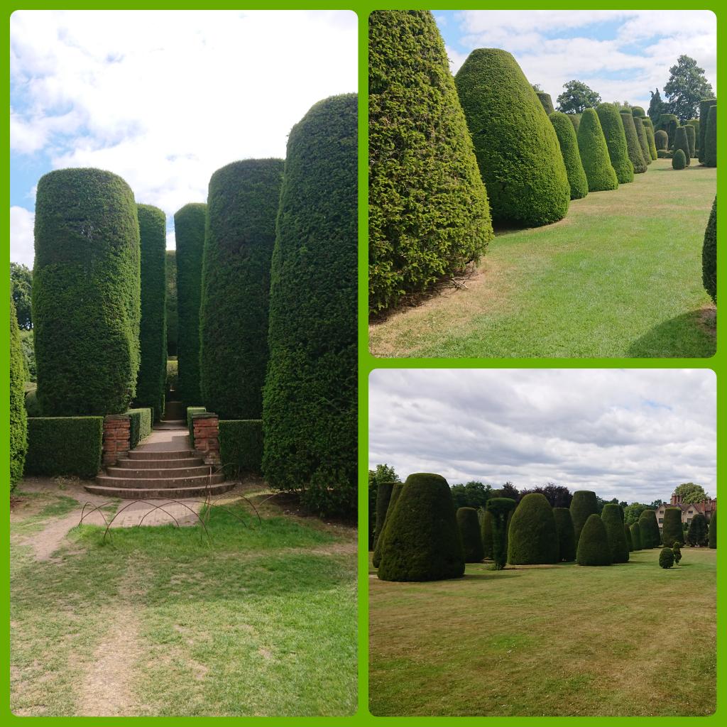 Hector Cornelious 🧙‍♂️🇺🇦 tweet media