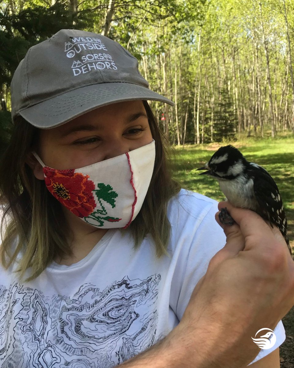CWF_FCF's tweet photo. On this #WorldYouthSkillsDay, let’s celebrate equipping young people with skills for employment, as we inspire stewardship for the earth! 🙌🌎

#WILDOutside #CanadianConservationCorps https://t.co/LUxnur4QVr