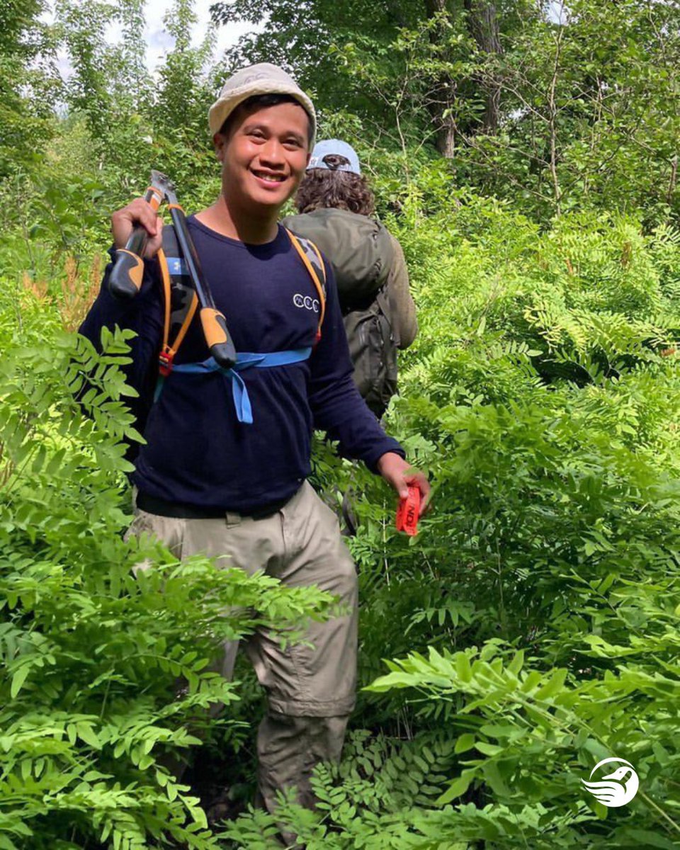 CWF_FCF's tweet photo. On this #WorldYouthSkillsDay, let’s celebrate equipping young people with skills for employment, as we inspire stewardship for the earth! 🙌🌎

#WILDOutside #CanadianConservationCorps https://t.co/LUxnur4QVr