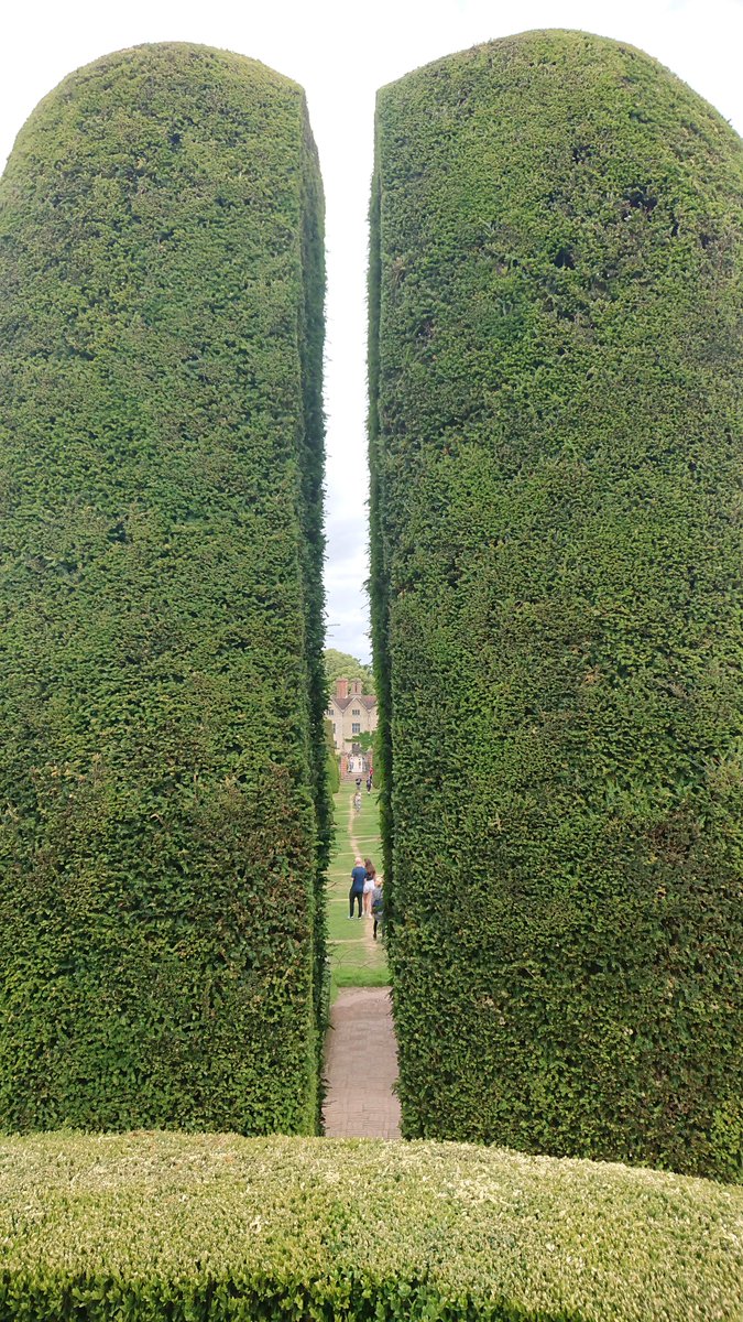 Hector Cornelious 🧙‍♂️🇺🇦 tweet media