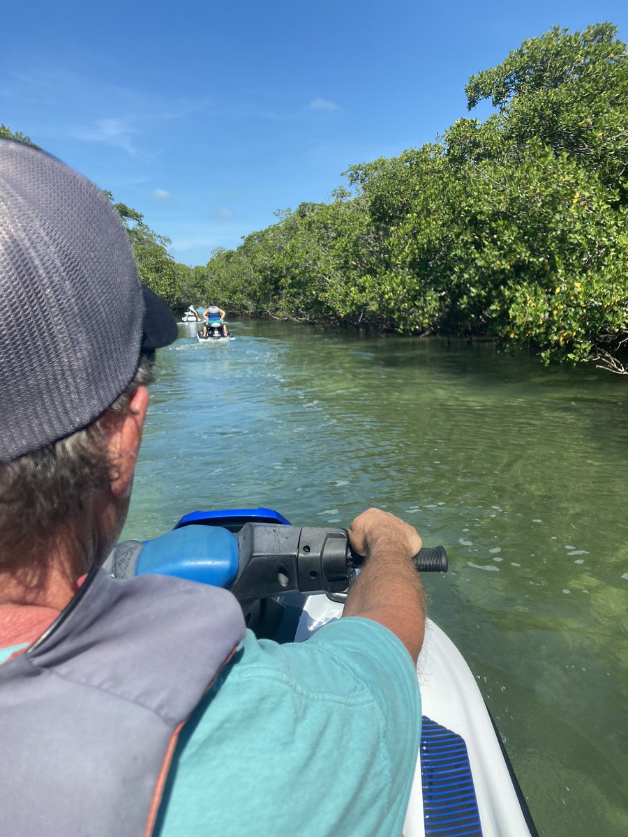 tracy9535's tweet photo. Beautiful days above, on, and under the water in Islamorada, Florida! Thank You @SundanceSports and The Kayak Shack for a magical vacation. Christy, Will, Parker, Luke, Chris, Conner and all the rest were outstanding. We enjoyed every moment! https://t.co/iBLQXhbAzl