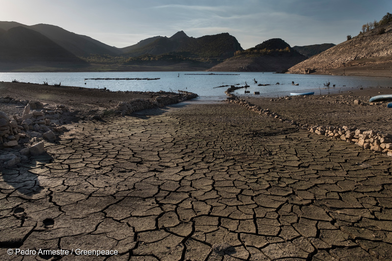 greenpeacemx's tweet photo. #Comunicado Las industrias que usan agua, como embotelladoras, obtienen beneficios económicos superiores a los 80 mil mdp, mientras que el presupuesto asignado a los estados para mejorar los sistemas de agua potable es de apenas 2,500 millones de pesos. https://t.co/mipyLDFmGP https://t.co/TvErT9Ad3I