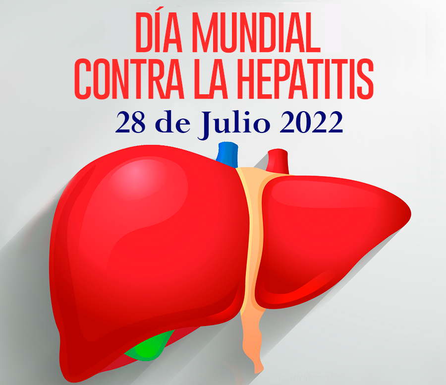 ATEHNA1's tweet photo. El Día Mundial contra la Hepatitis se celebra todos los 28 de julio para concienciar sobre las hepatitis víricas, que inflaman el hígado y causan enfermedades como el cáncer de hígado.
Ese dia  Atehna pondremos una mesa de información sobre la  enfermedad  en Carlos III. https://t.co/dVNcD6KV8H