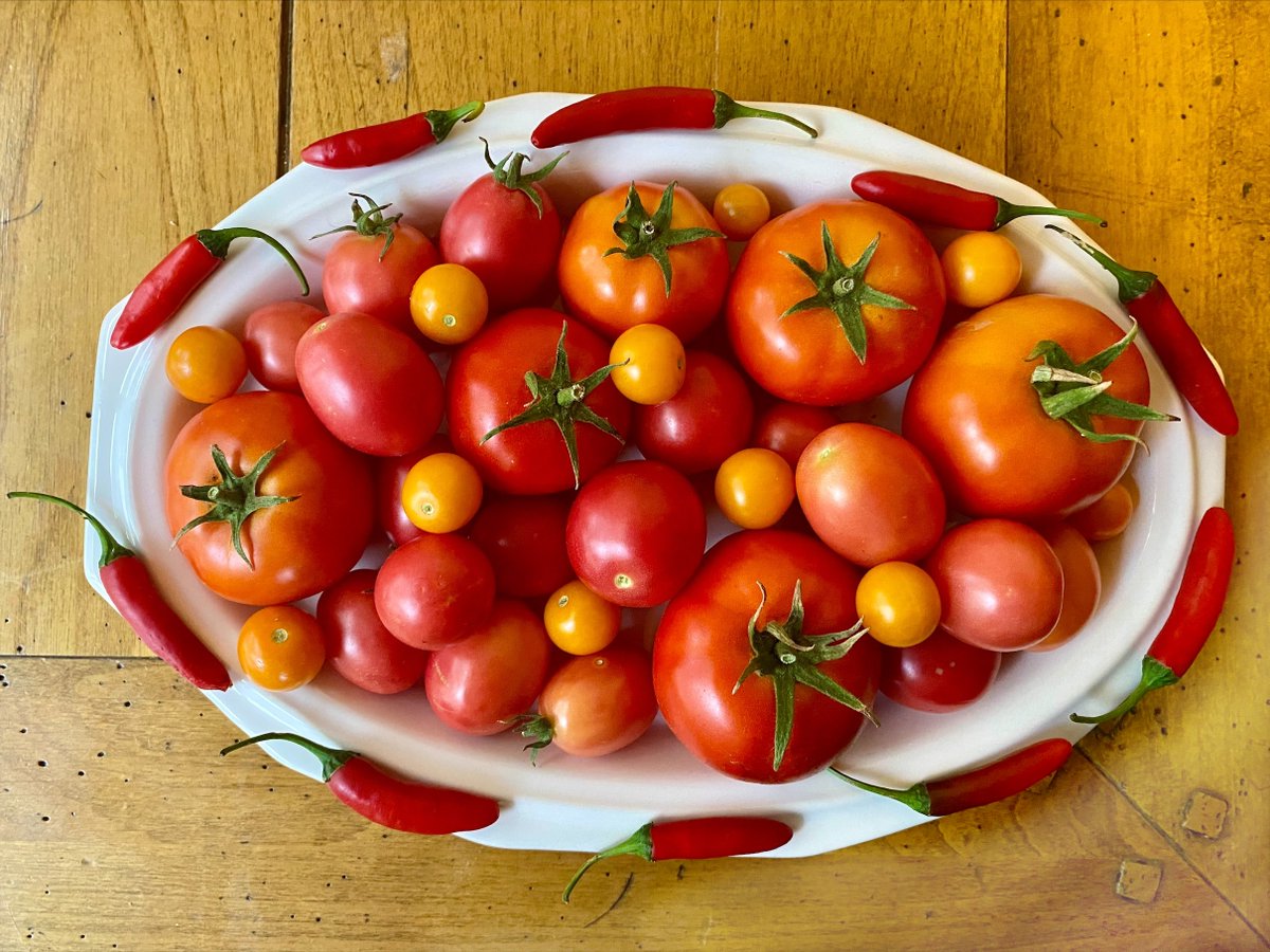If you could take home double the tomatoes, what would you make? 
#doubleupaz #doubleSNAP