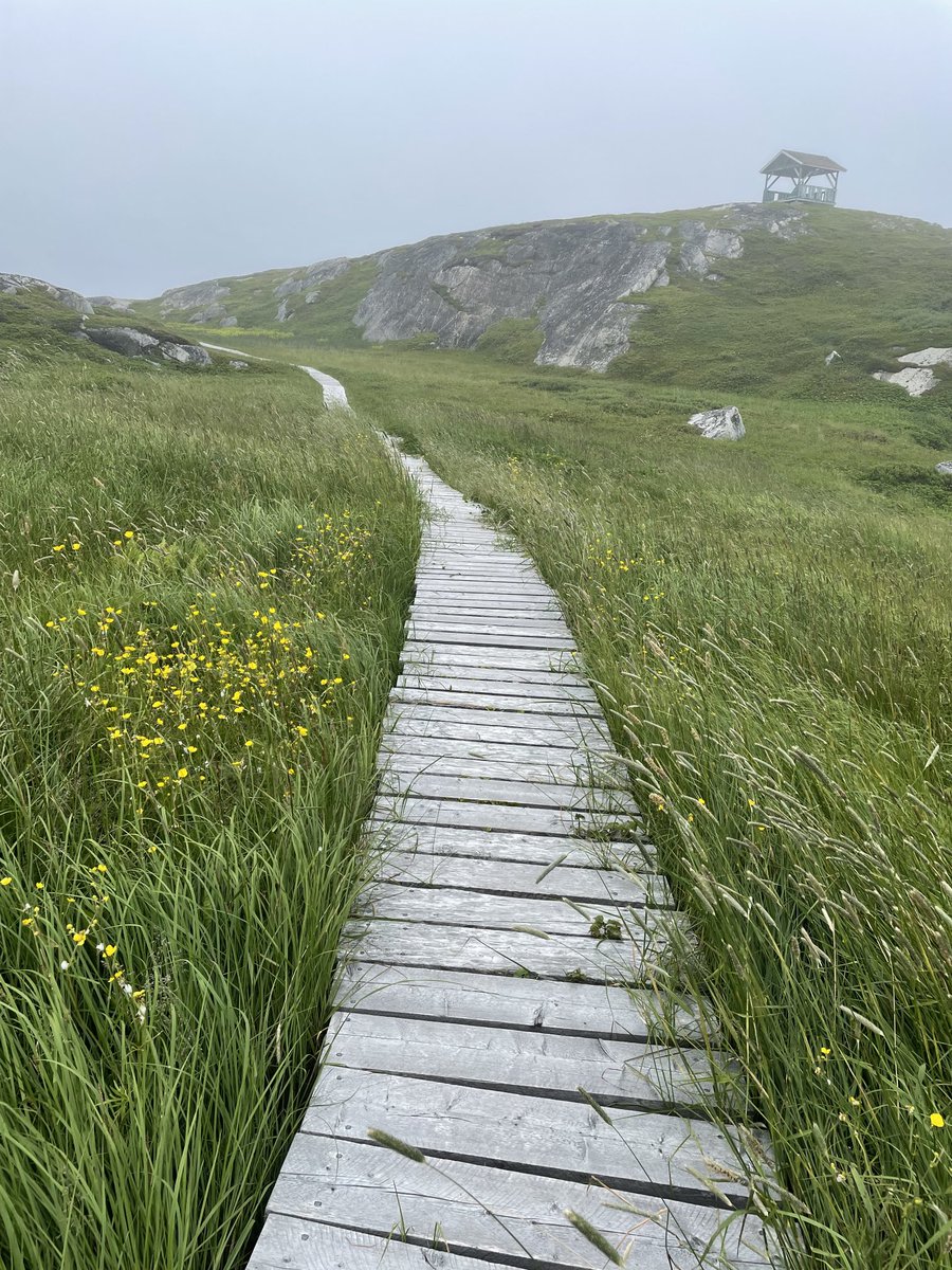 Linda White tweet media