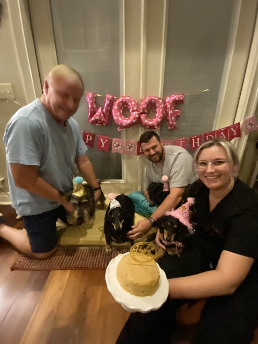 whit_byrd's tweet photo. Today is Dolly’s 1st birthday!! She loved her “pawty” 😂. It’s not easy wrangling 4 weenie dogs with party hats 🥳 https://t.co/PuyrkvP6ln
