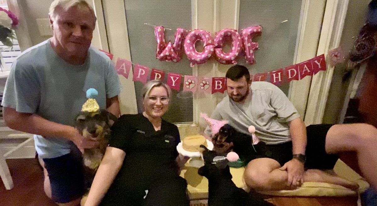 whit_byrd's tweet photo. Today is Dolly’s 1st birthday!! She loved her “pawty” 😂. It’s not easy wrangling 4 weenie dogs with party hats 🥳 https://t.co/PuyrkvP6ln