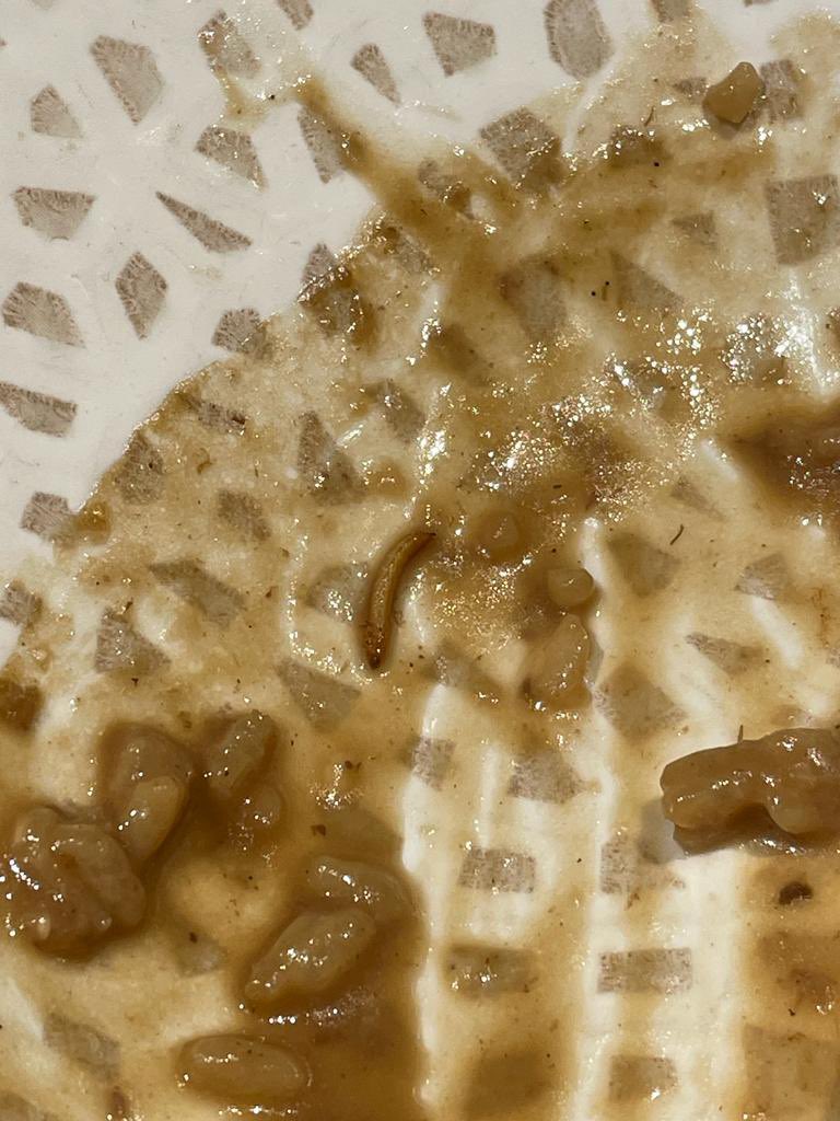 Ayer mi hijo comió un risotto en  <a href="/MixRest/">Mix Restaurant</a> , luego de varios bocados, observa algo que se confunde con el arroz y resulta ser gusanos. En mi preocupación de que comió algo asqueroso, El me responde: “al menos estaban cocinados mami”. Eso es ver el lado bueno de todas las cosas…
