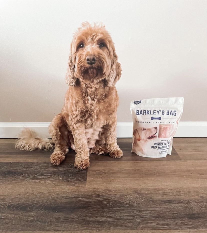 We are paws-atively sure it’s Friday and we are paws-atively sure this Dood is getting a BB bone! 🦴 #BarkleysBag #goldendoodle #dogtreats