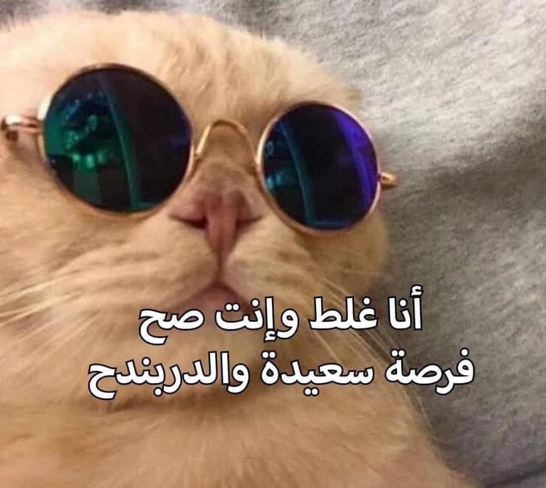 Mostafa91046574's tweet photo. لما حد يتناقش معايا الفترة دي... https://t.co/qTpkLX5EKG