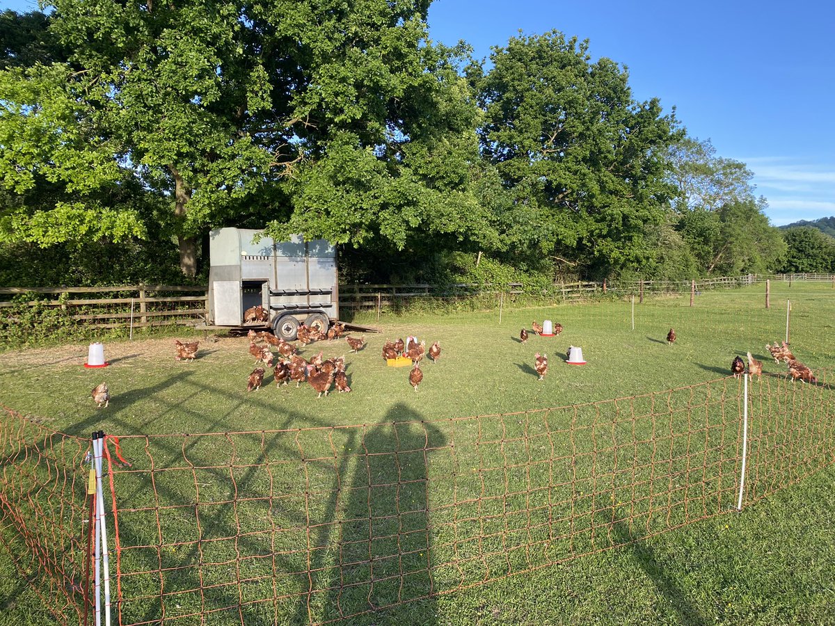 If you happen to be passing by, please come and buy some Elms School Eggs! No children at school equals a serious surplus of them!! Free range and fresh each morning 👌 #supportlocal <a href="/ElmsSchoolRural/">The Elms School Rural</a>