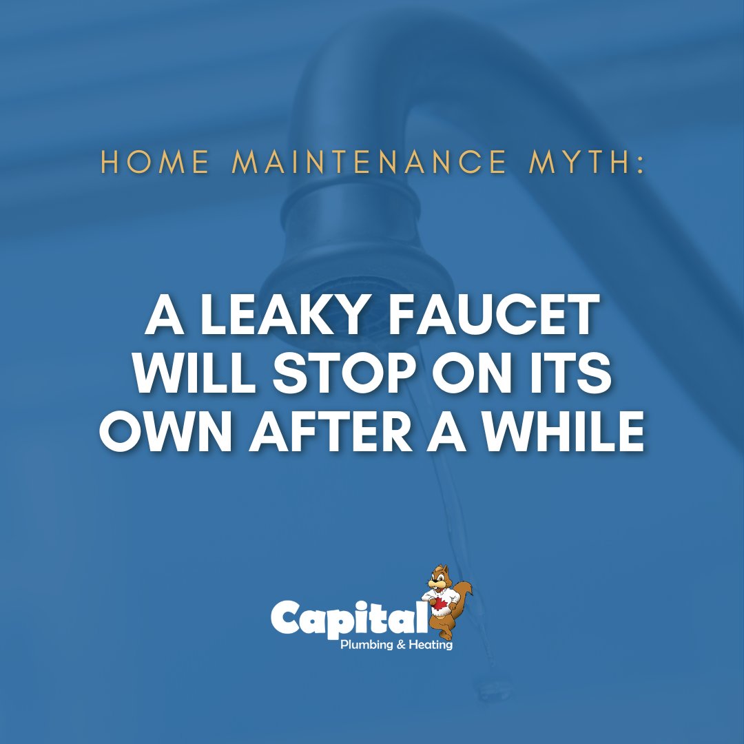 Any leaks in a faucet are a sign that there is a bigger problem in the system. These leaks will increase your water bills and cause a build-up of harmful materials in your house. 

#albertahomeowners #yeghomeowners #homemaintenance #albertaplumbing #yegplumbing #plumbingtips