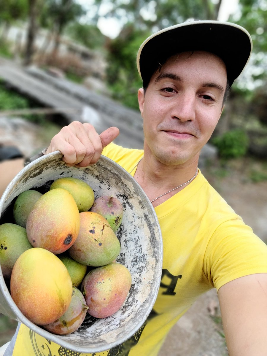 DeZaceta's tweet photo. NUEVA Receta en el Canal.
Como preparar mermelada con estos Ricos Mangos de la Finca.
Mirala aquí y Suscribete al canal de recetas: 👇👇👇
https://t.co/BIjFOEPoCI https://t.co/p6L8Cpn1hw