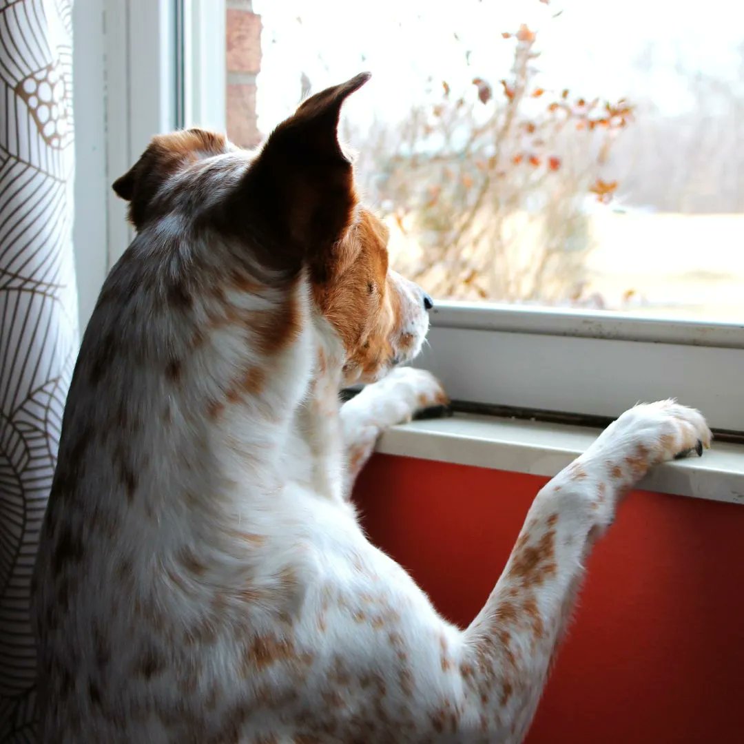 Are you still waiting for your post to be delivered?
Here ‘s the step you can take 

⤵️ 
buff.ly/3hkBI1M"

Or contact us for help!
01395 265 070
enquiries@citizensadviceeastdevon.org