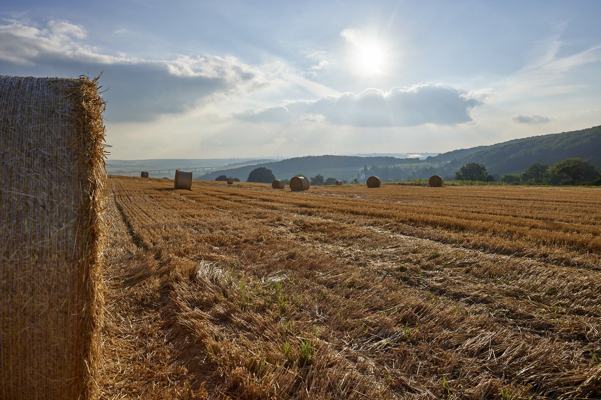 kraemer_sven's tweet photo. Noch etwas #Kontrastprogramm zu den aktuell wieder aufkommenden Bildern aus dem #Ahrtal. Um auf andere Gedanken zu kommen eben. #photography by @CanonDEU #EOSR5 https://t.co/RRJGPoBZ9M