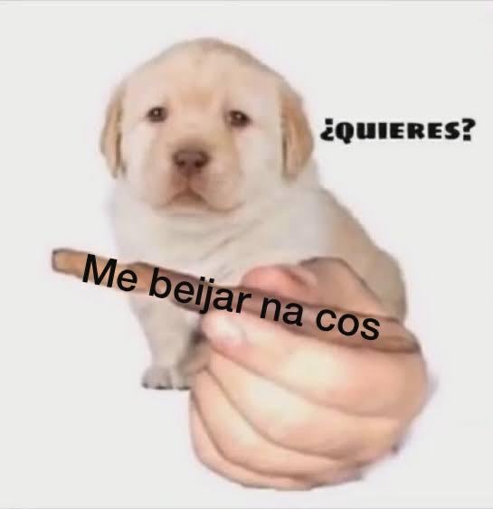 viniciusscallop's tweet photo. Cósmicos hoje e eu já estou assim 🥴 https://t.co/wX8szYWMhI