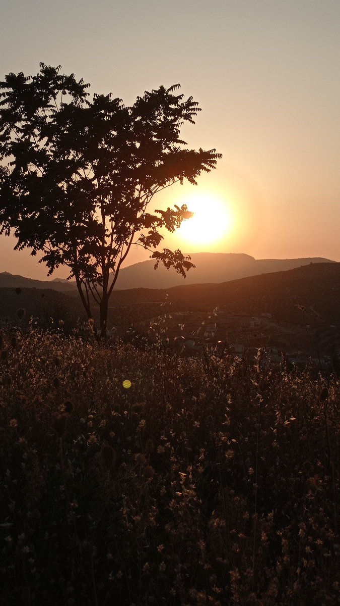 Marquinhos🌊🔴⚪ tweet media