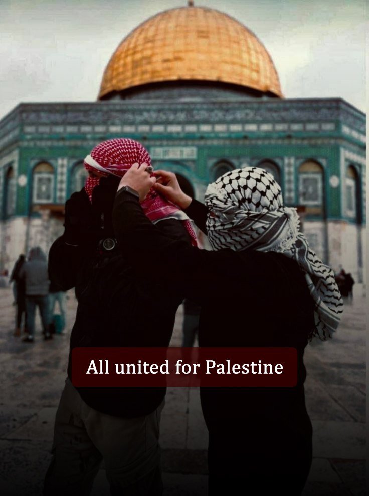 PalestineCultu1's tweet photo. All united for Palestine.🇵🇸 https://t.co/DWBT6FFFCs