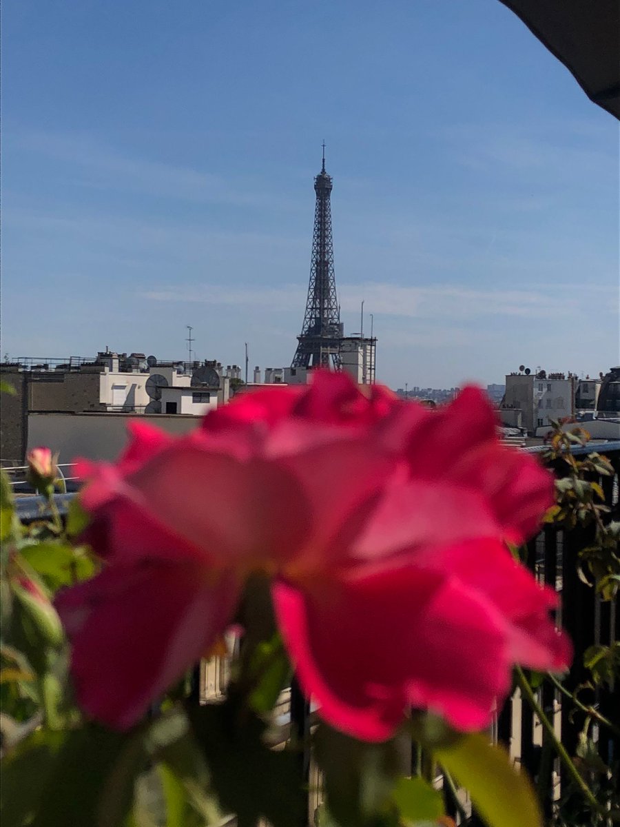 i3_Global's tweet photo. Parisian Views
#eiffeltower 
#Paris 
#Parisianstyle https://t.co/pa2B82j4ZB