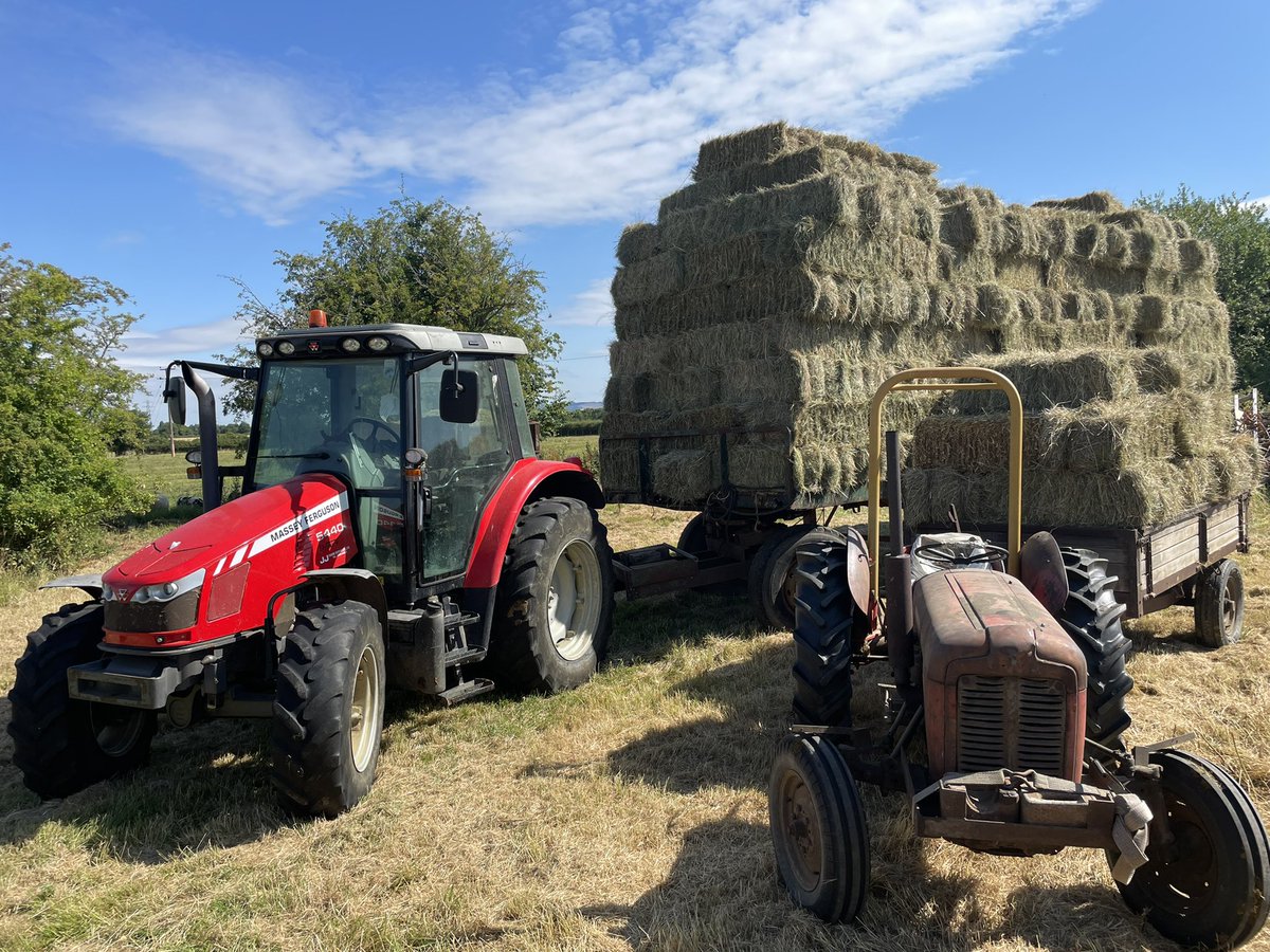 Which one would you rather drive?