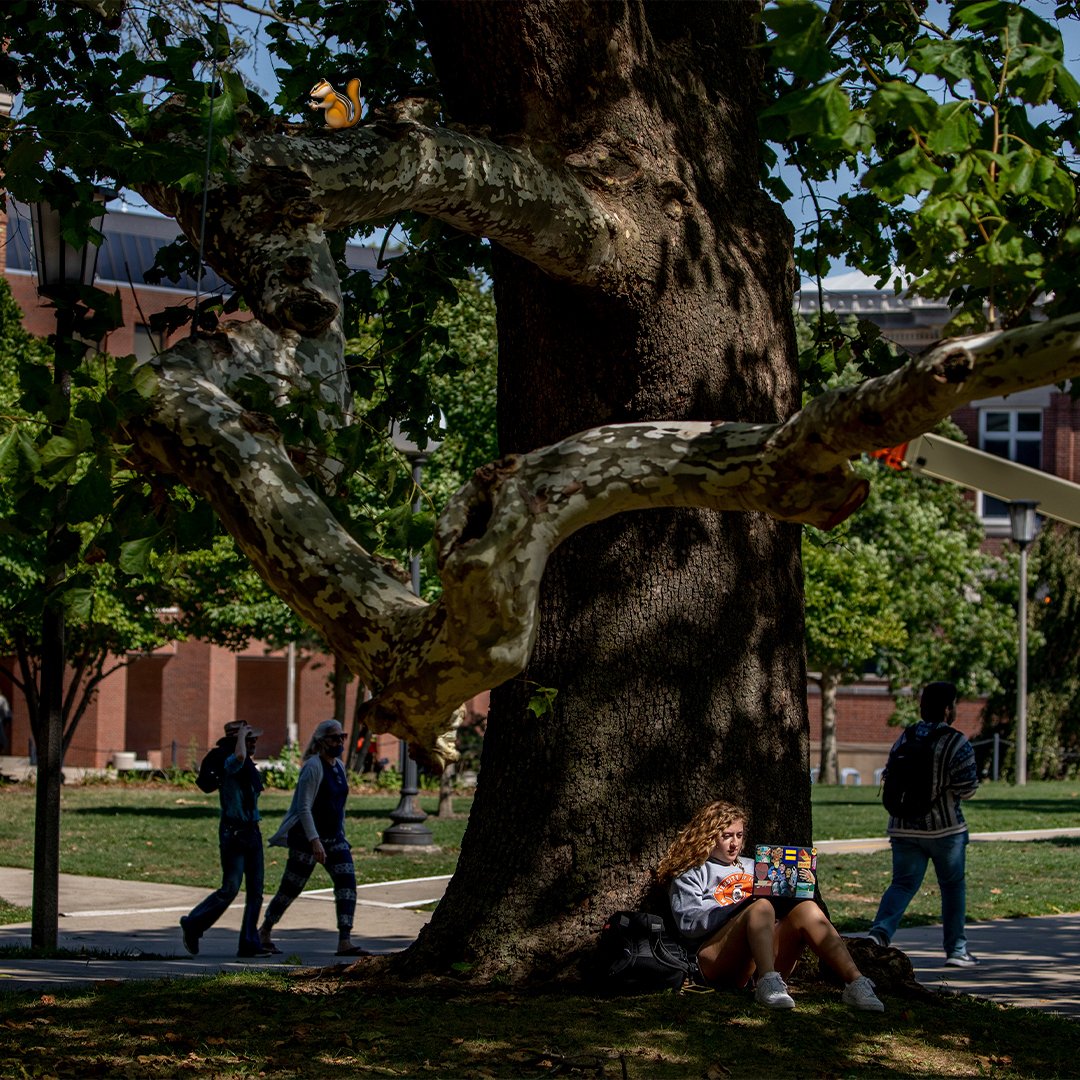 U of I College of LAS tweet media