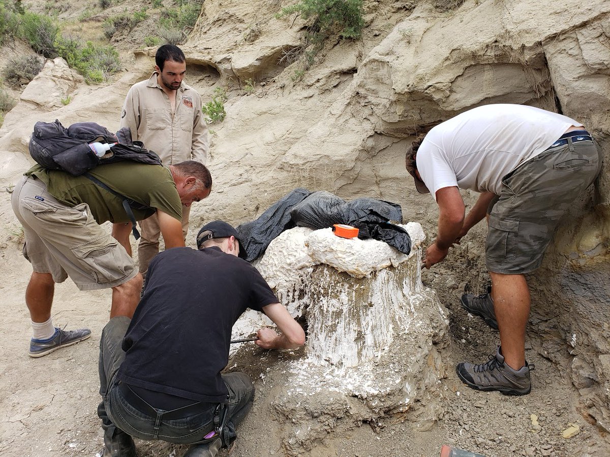 DrSCoffin's tweet photo. Hard to believe it's been two years since I dug dinosaur bones in Wyoming with the Leap Lab (Marcus and Anna) with @orestishero and @Win_OpenData!
#paleontology #paleoCamp #LeapLab https://t.co/7bJdiukj44