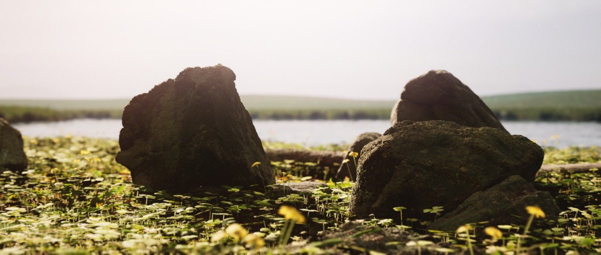 ChainReality® tweet media