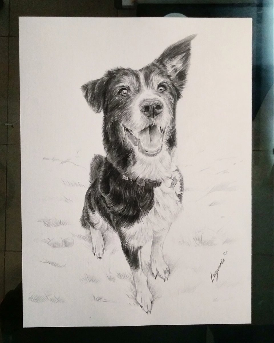fherlongoria's tweet photo. Dibujo a lápiz de grafito a Comisión. Muchas gracias por su confianza https://t.co/rzazH9KXJA