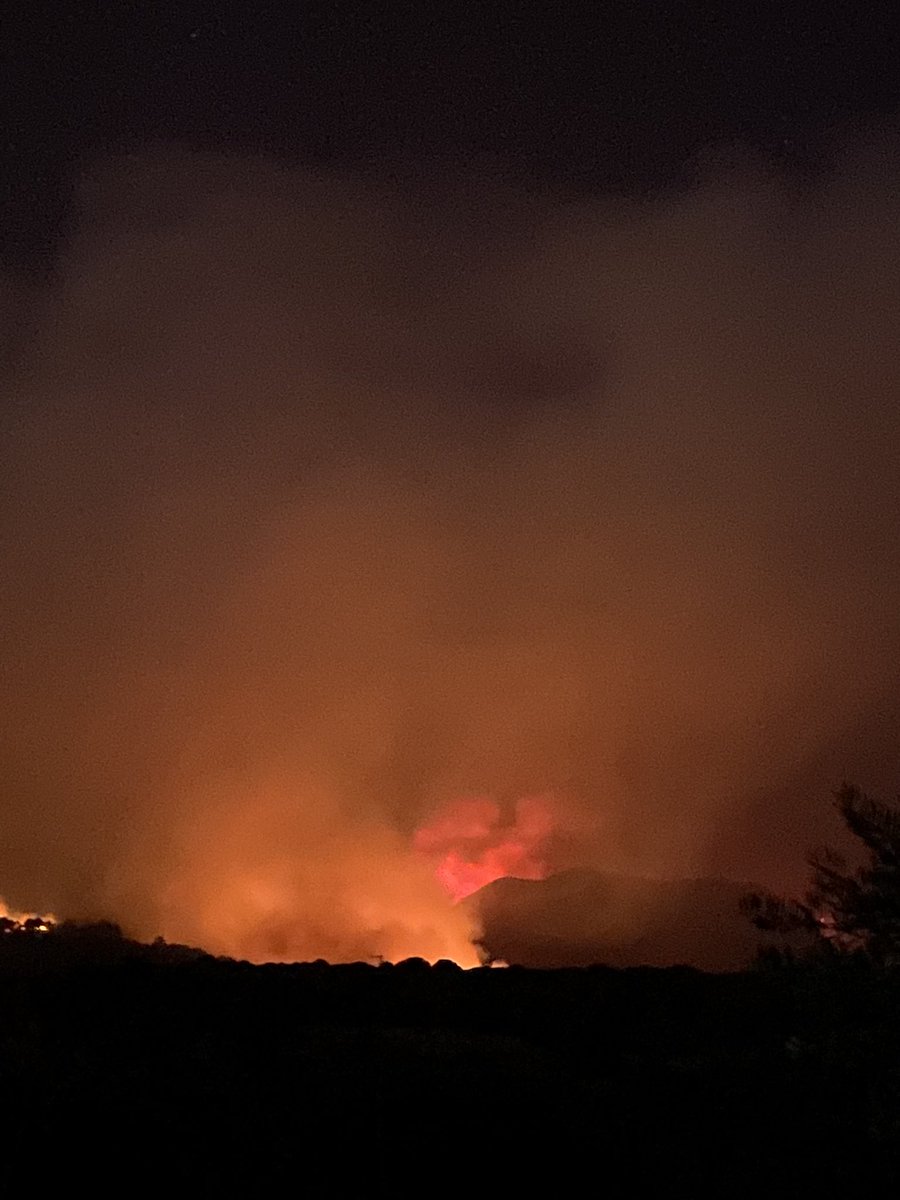 Elizabeth tweet media