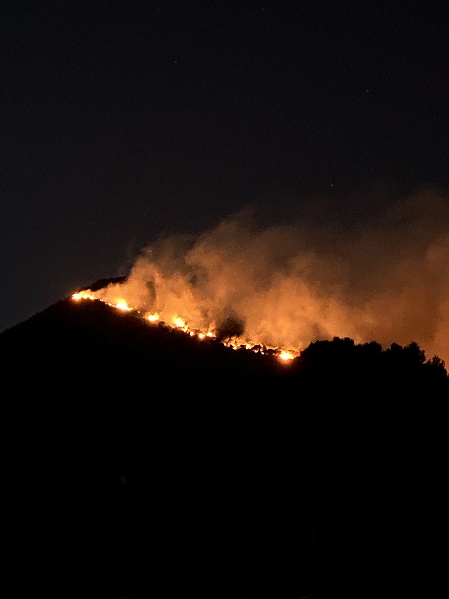 Elizabeth tweet media