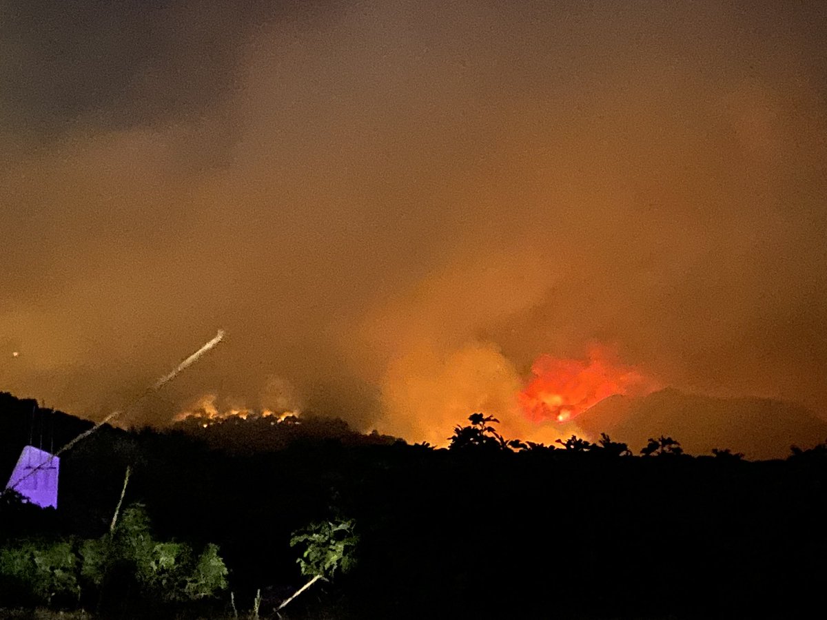 Elizabeth tweet media