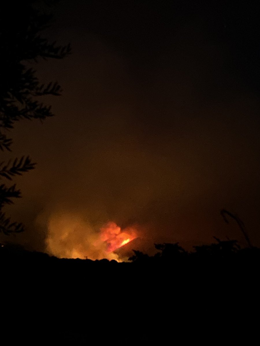 Elizabeth tweet media