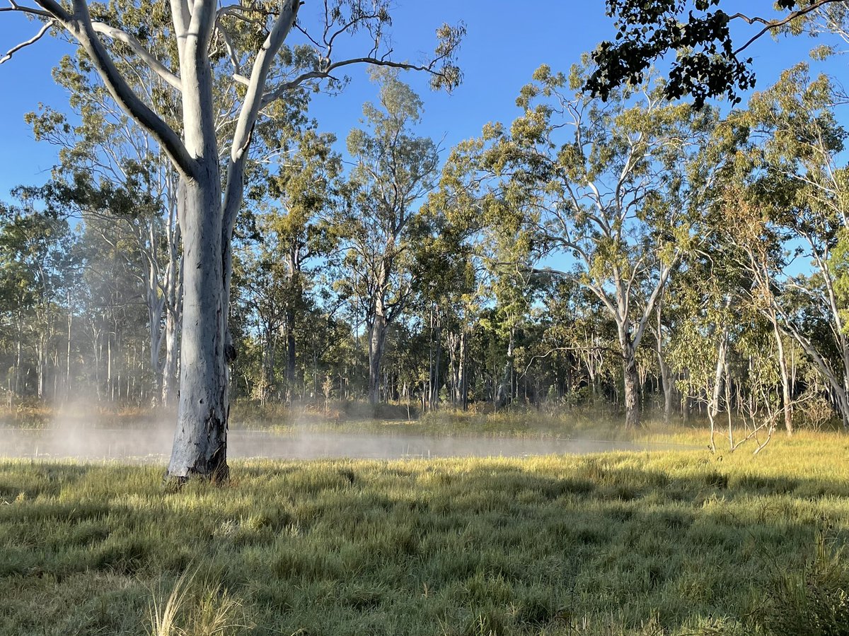 Big thank you to Bush Heritage staff for the opportunity to visit the wonderful Yourka Reserve in North Queensland and learn about the conservation management there <a href="/BushHeritageAus/">Bush Heritage</a>