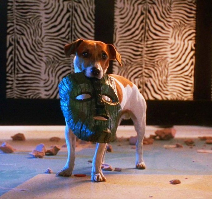 マスク の犬の犬種と名前は ギャラがすごくてリムジンで送迎 ドラマスクリーン