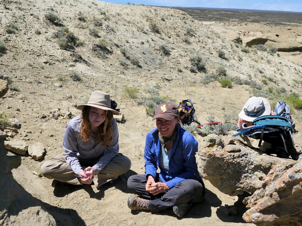 Robert Anemone tweet media