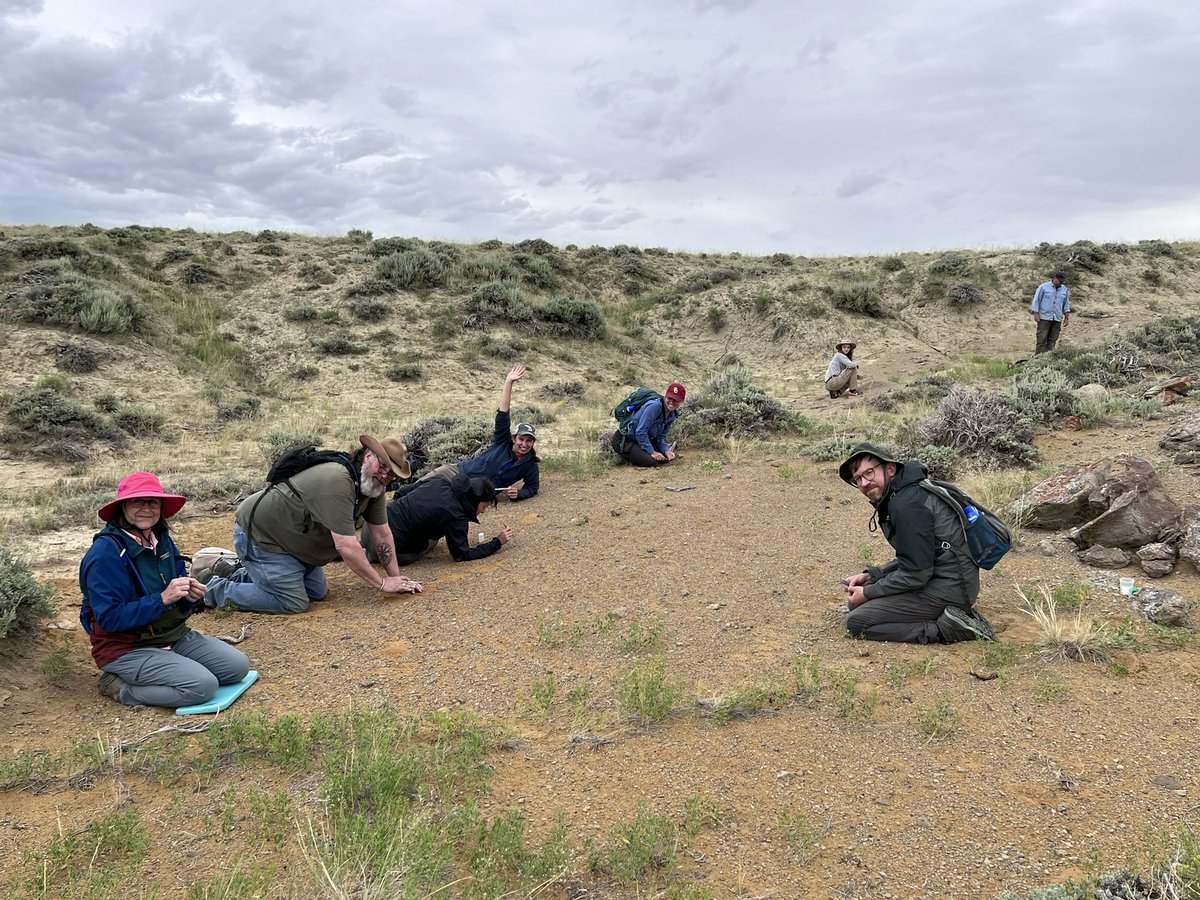 Robert Anemone tweet media