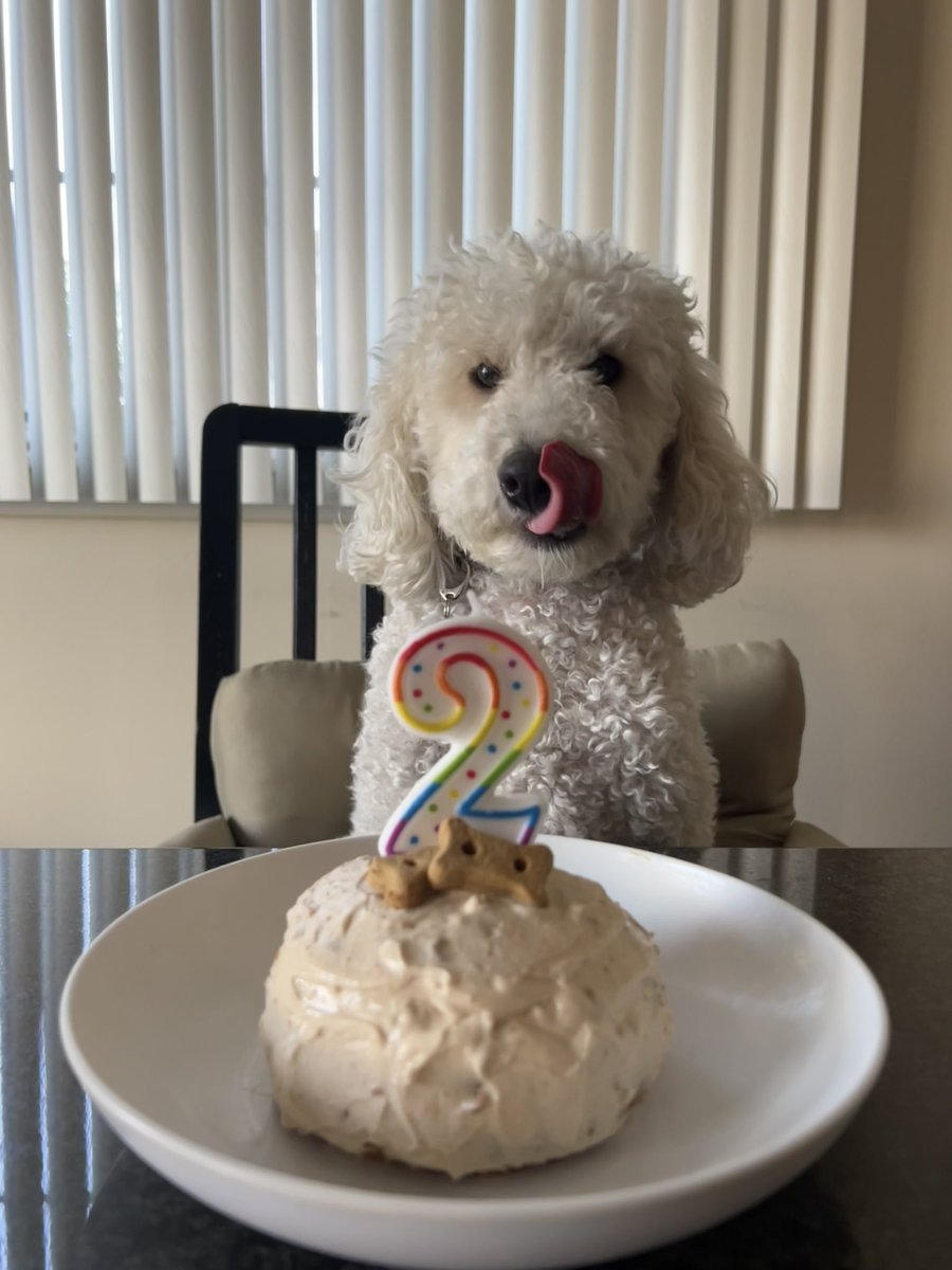 happy 2nd birthday bro, ily<3