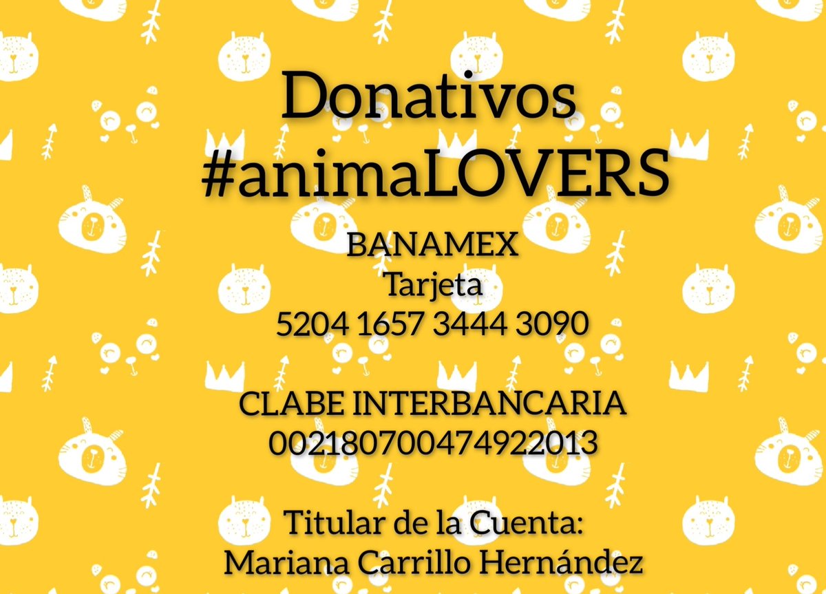 #animaLOVERS tweet media